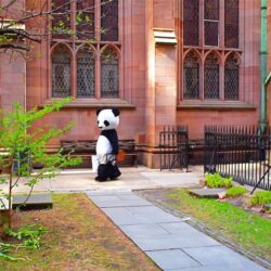 Gothic Panda, New York, 2010