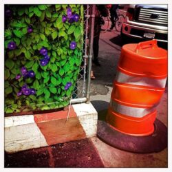 E. 78th Street, 2013