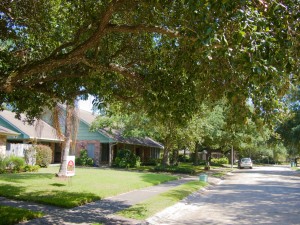 Vicinity of Carlson Drive and Jay Street, 2015.