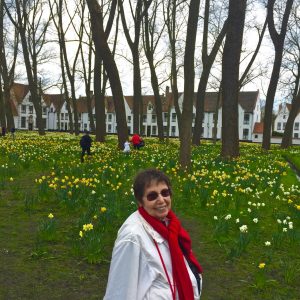 Daffodils, Bruges, Inky Mum. Not necessarily in that order.