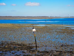 Low tide at Bruinisse, Zeeland.